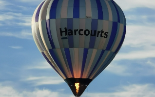 Harcourts Hamilton